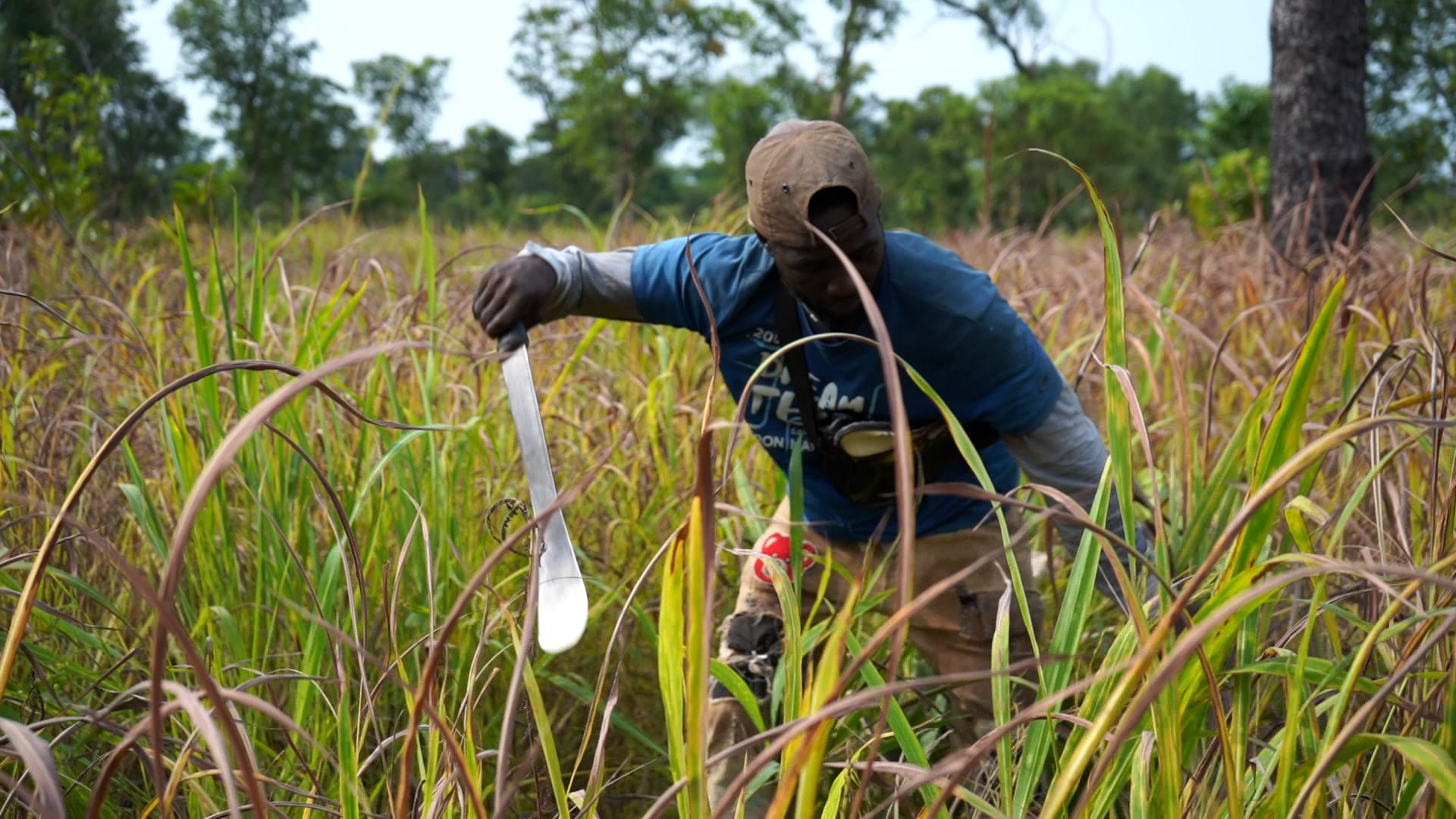 Naka Farming Project